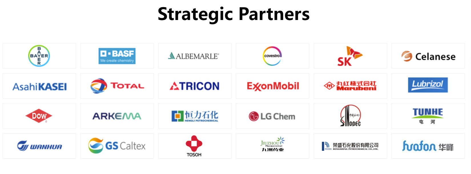 Strategic partner and supplier logos including BASF, Bayer, Dow, ExxonMobil, LG Chem, Sinopec and others